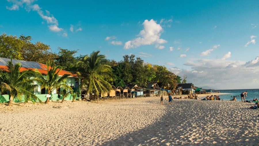 Cebu: Whale Shark, Monkey Sanctuary, & Moalboal Turtles Tour - Secret snack stops and included local treats: the small stuff that keeps you happy