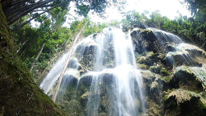 Cebu: Whale Shark, Monkey Sanctuary & Turtle Snorkeling Tour - Tumalog Falls and the Inambakan Falls Detour