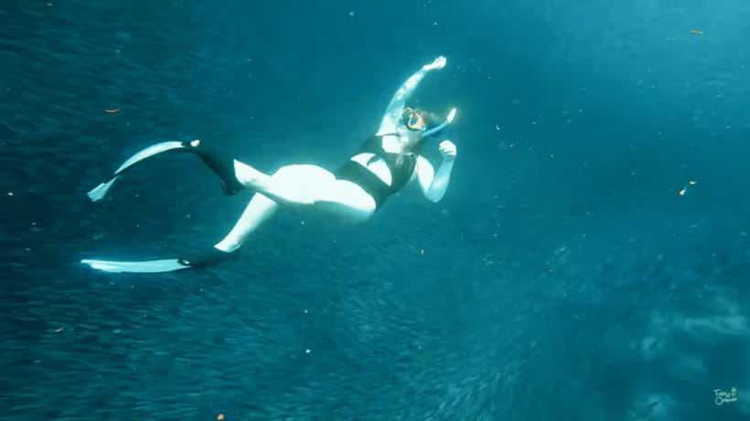 Cebu: Whale Shark Oslob and Moalboal Snorkeling Adventure - Gear, Cameras, and What to Bring (You’ll Be Glad You Did)