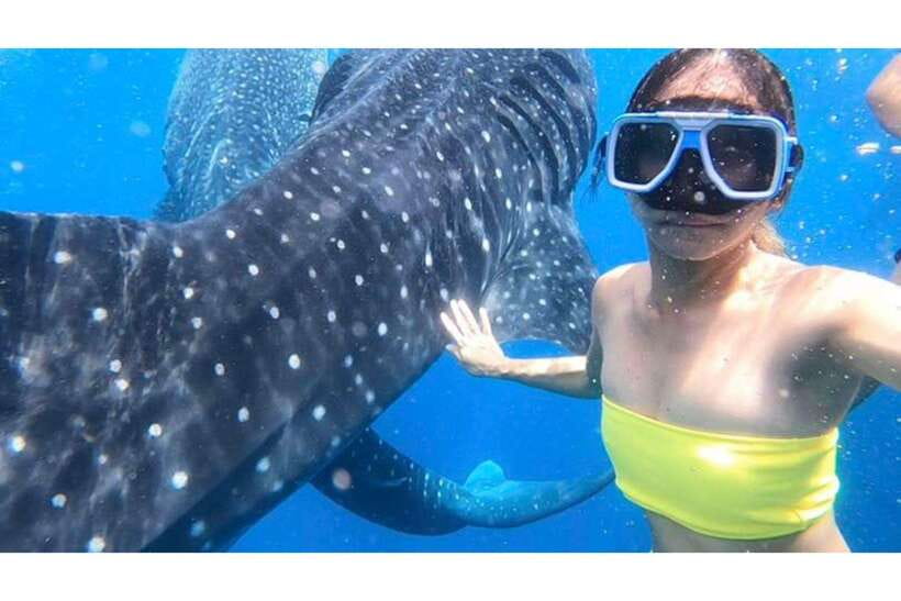 Cebu: Whale Shark Swim and Kawasan Canyoneering Group Tour - Key Points I Think You Should Know