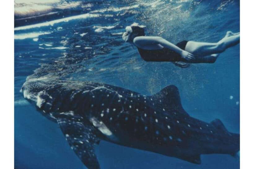Cebu: Whale Shark Swim and Kawasan Canyoneering Group Tour - Kawasan Falls Canyoneering in Badian: Where the Day Turns Physical