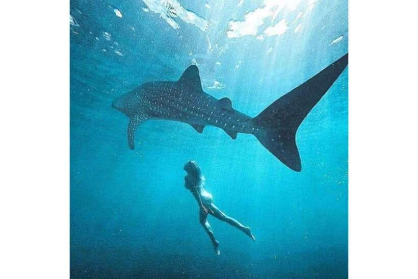 Cebu: Whale Shark Swim and Kawasan Canyoneering Group Tour - Group Tour Reality: The Good, the Not-So-Good
