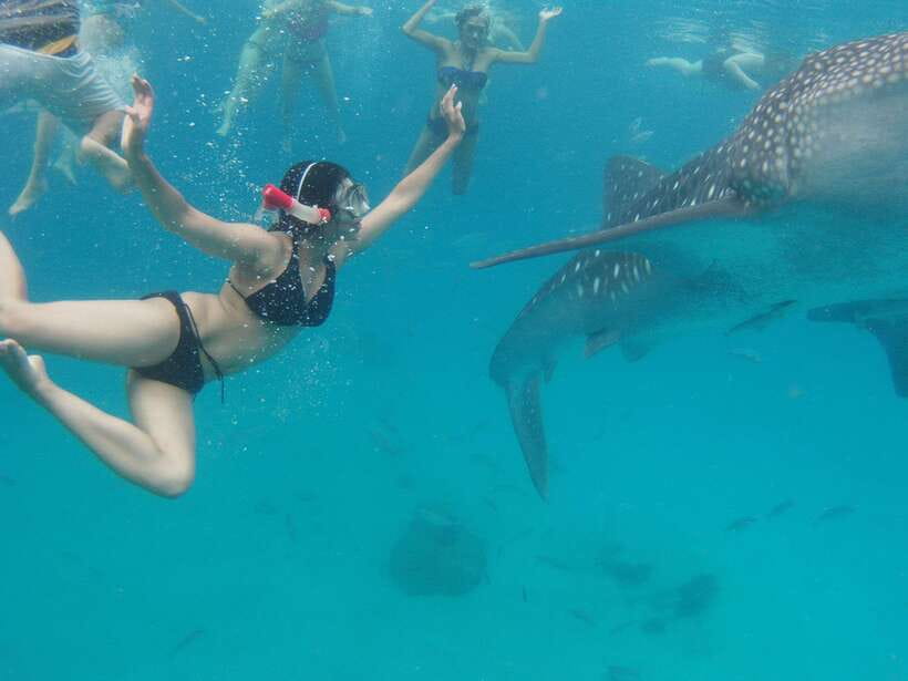 Cebu Whale Shark Swimming & Kawasan Canyoneering Group Tour - How the Cebu to Oslob and Badian route really feels