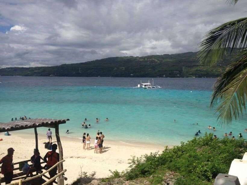 Cebu: Whale Shark Swimming, Sumilon Island and Kawasan Falls - Getting to Oslob and Why the Early Start Matters