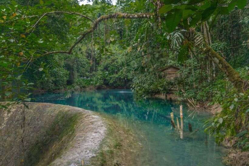 Cebu: Whale Shark Swimming, Sumilon Island and Kawasan Falls - Kawasan Falls in Badian: Jungle Walk, Turquoise Pools, and a 30-Minute Swim