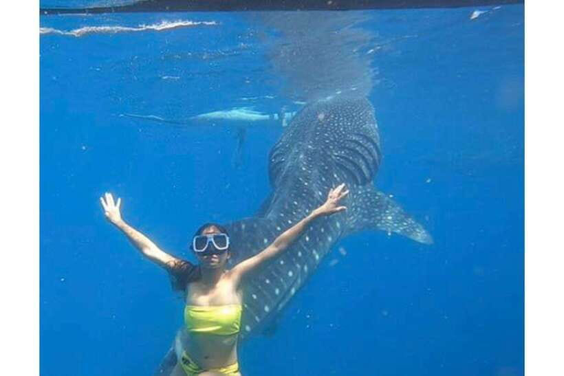 Cebu:Whale Shark, Waterfall, and Sardine Run Group Tour+Meal - Inambakan Falls: Multi-Tier Water, Photo Stops, and a Jump Swing Moment