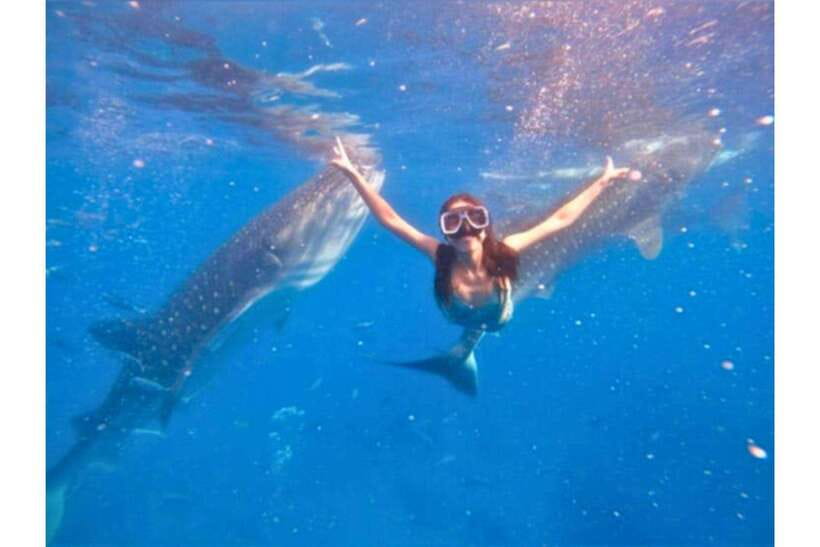Cebu:Whale Shark, Waterfall, and Sardine Run Group Tour+Meal - Oslob Whale Sharks: Clear Water, Safety Briefings, and Close Up Swimming