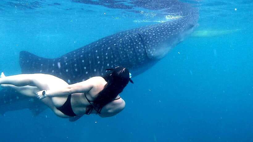Cebu: Whale Sharks, Ka-Treasure Water Terraces & Simala Tour - Small things to plan for so you do not waste time