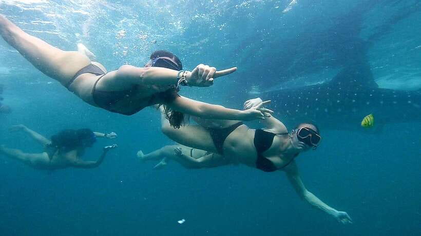 Cebu: Whale Sharks, Ka-Treasure Water Terraces & Simala Tour - Oslob whale shark watching: regulated, crowded, and still worth the early hours