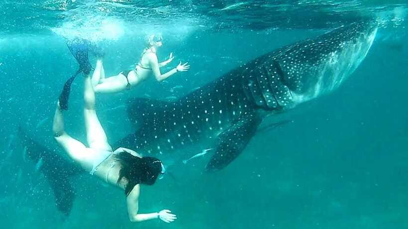 Cebu: Whale Sharks, Ka-Treasure Water Terraces & Simala Tour - Ka-Treasure Water Terraces: the calm water break, with one realism check