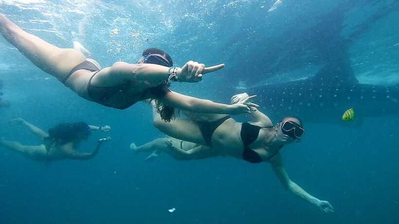 Cebu: Whale Sharks, Ka-Treasure Water Terraces & Simala Tour - Price and value around $98 per person: what you get for the money