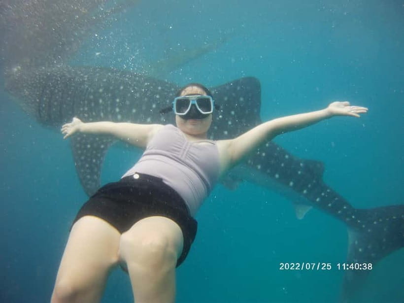 Cebu: Whale Sharks, Kawasan Falls, & Sardines Run Snorkeling - How the timing and transport actually feel