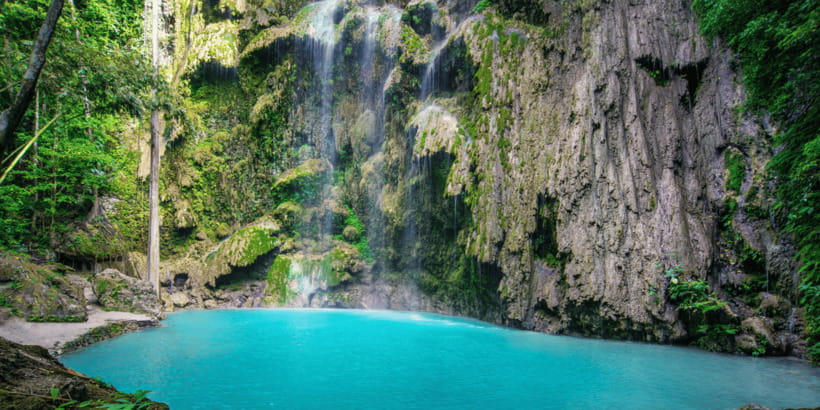 Cebu: Whale Sharks, Tumalog Falls, and Monkey Sanctuary Tour - Group size, timing, and what to pack