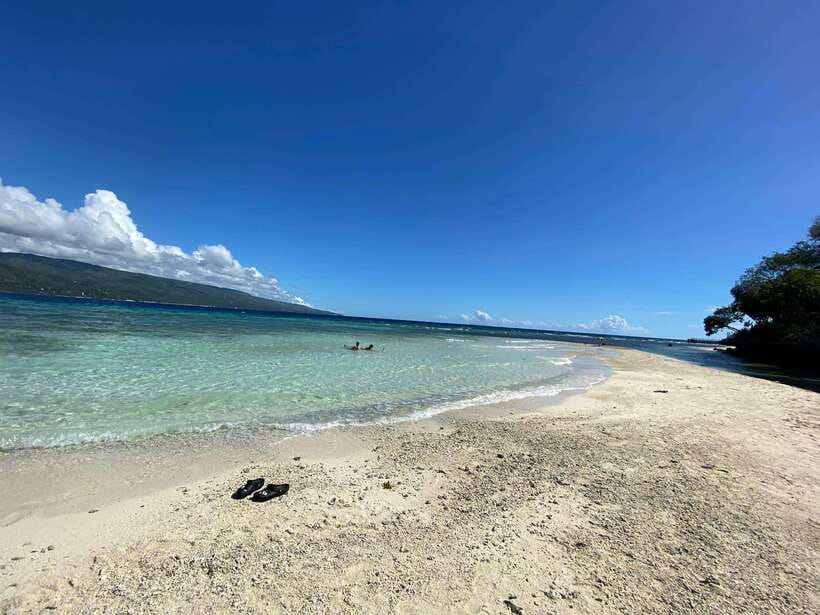 Cebu: Whaleshark Encounter, Sumilon Sandbar & Tumalog Falls - Who Runs the Day: Guides, English Support, and Smooth Timing