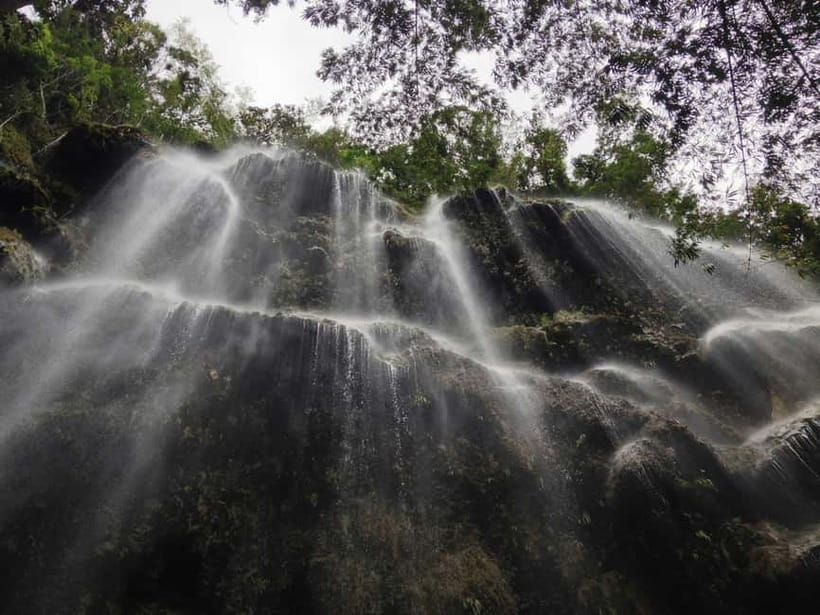 Cebu: Whaleshark Encounter, Sumilon Sandbar & Tumalog Falls - Should You Book Cebu Whaleshark Encounter, Sumilon Sandbar & Tumalog Falls?