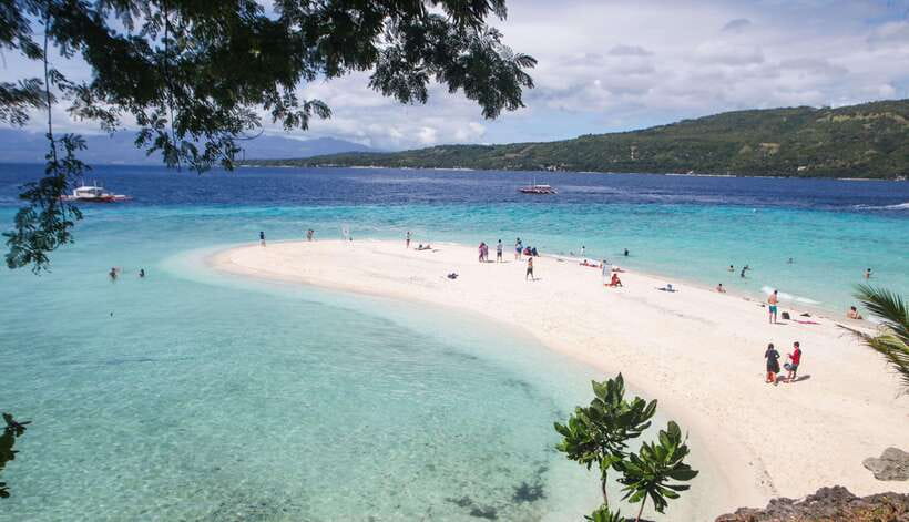 Cebu: Whaleshark Encounter, Tumalog Falls & Sumilon Sandbar - What you should watch for during the day (so it feels easy, not chaotic)