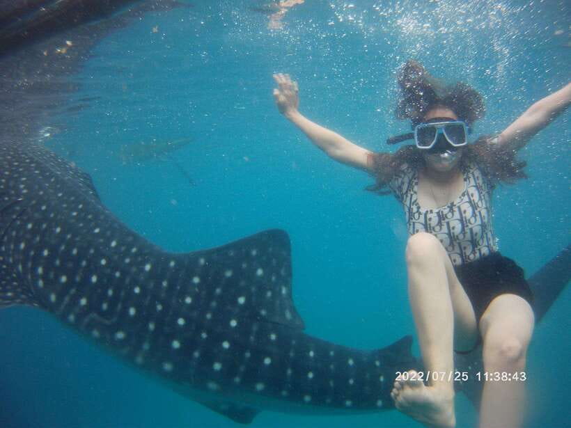 Cebu: Whaleshark Encounter, Tumalog Falls & Sumilon Sandbar - Sumilon Island: snorkeling time plus a sandbar that changes with the season
