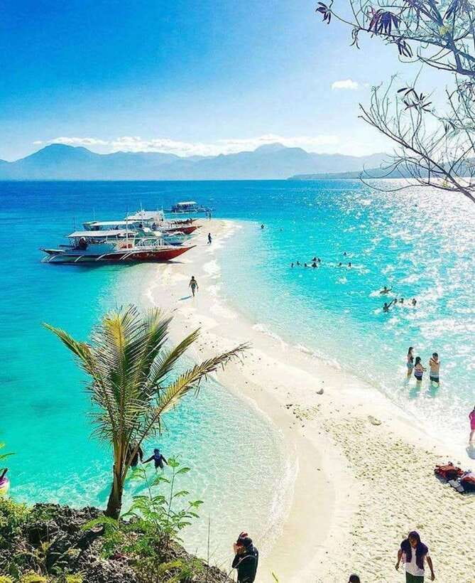 Cebu: Whaleshark Encounter, Tumalog Falls & Sumilon Sandbar - Who this tour suits best, and who should skip it