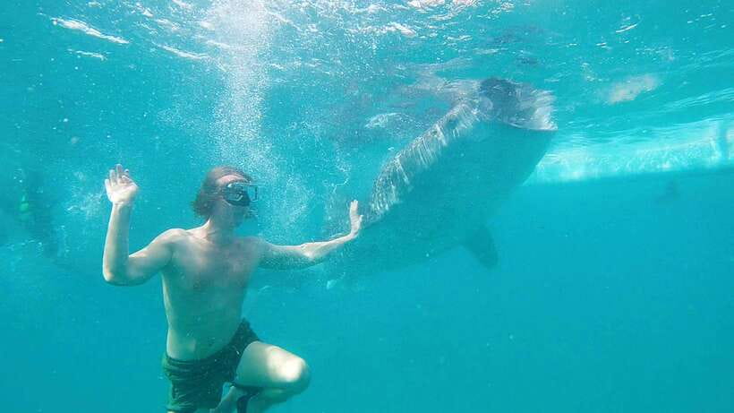 Cebu: Whaleshark Swimming & Kawasan falls Canyoneering Tour - Oslob Break Time: Small Comfort, Then Off to Badian