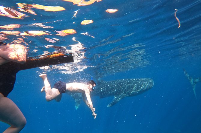 Cebu Whaleshark Tour - Tumalog Falls dip on the way back