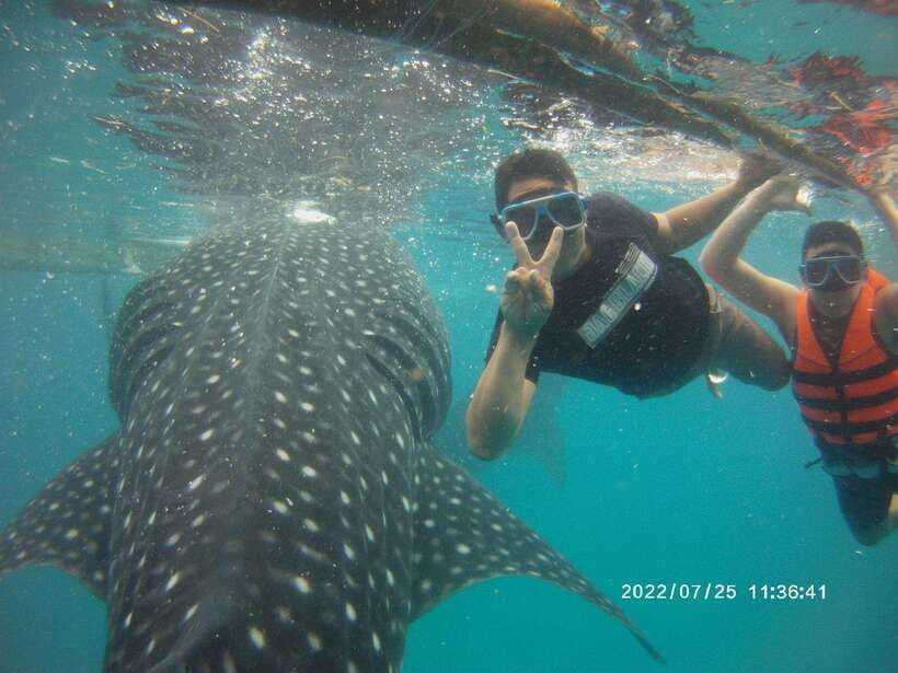 Cebu: WhaleShark , Tumalog Falls, & Sardine Run Snorkeling - Tumalog Falls: a jungle waterfall stop that’s meant for photos and swimming