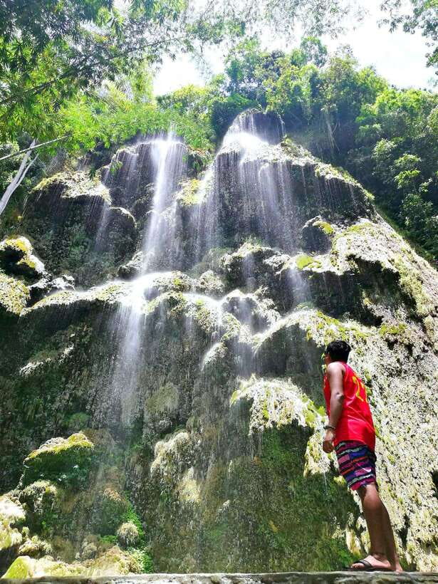 Cebu: WhaleShark , Tumalog Falls, & Sardine Run Snorkeling - Who this Cebu tour is best for (and who should skip it)
