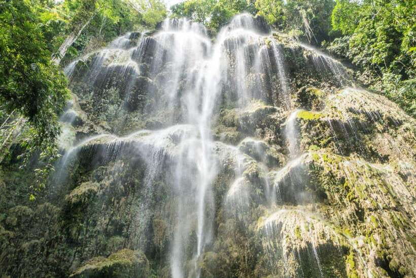 Cebu: WhaleShark , Tumalog Falls, & Sardine Run Snorkeling - Should you book this Whale Shark, Tumalog Falls, and Sardine Run combo?
