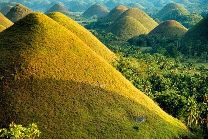 Chocolate hills tour with Tarsier & Loboc river Buffet Lunch (half-day tour) - Private Bohol Highlights in 5 to 6 Hours