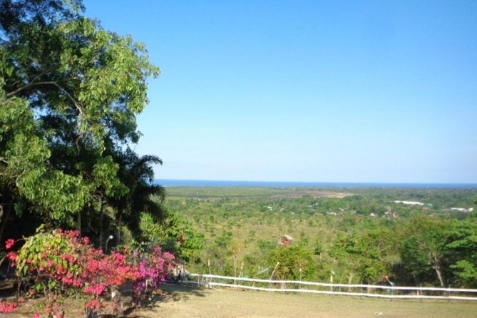 City tour of Puerto Princesa Palawan Philippines - Palawan Wildlife Rescue and Conservation Center: your first hour in Puerto Princesa