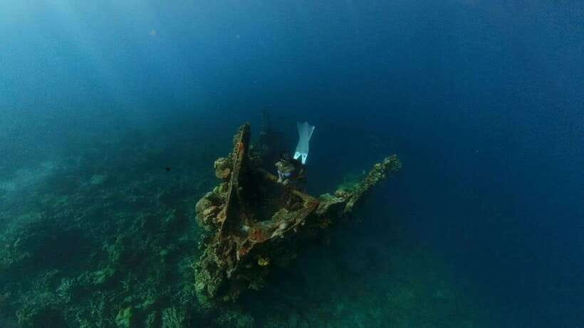 Coron: Barracuda Lake and Reef Garden Tour with Lunch - How the 8-Hour Day Works From Coron Pickup To Final Drop-Off
