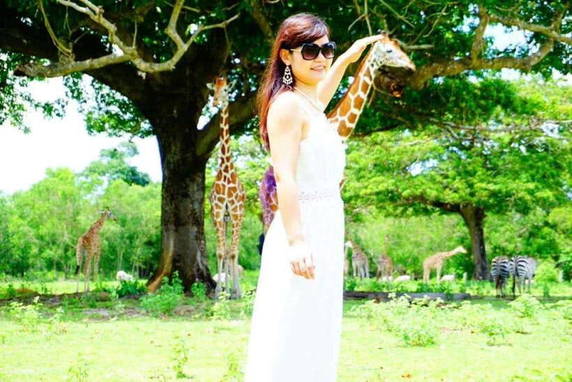 Coron: Calauit Safari Black Island Lunch & Transfer included - Feeding giraffes and spotting animals: up close is the point
