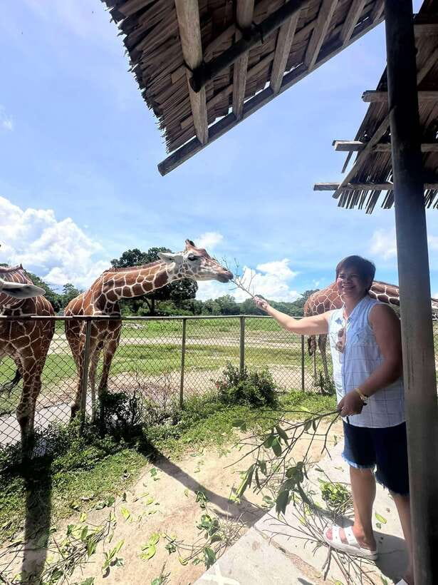 Coron: Calauit Safari Black Island Lunch & Transfer included - Malbato Church and Busuanga: the cultural reset between the water stops