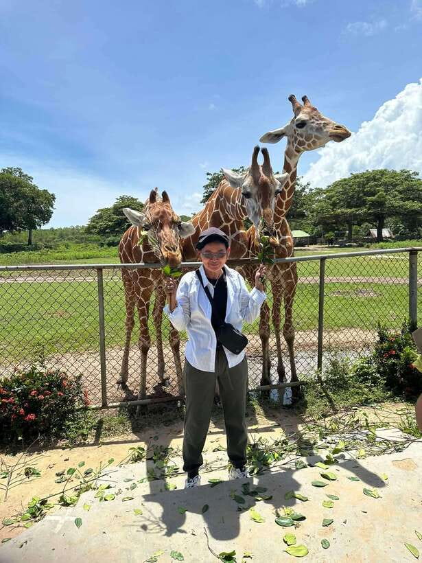Coron: Calauit Safari Black Island Lunch & Transfer included - Transfers, timing, and why the van matters