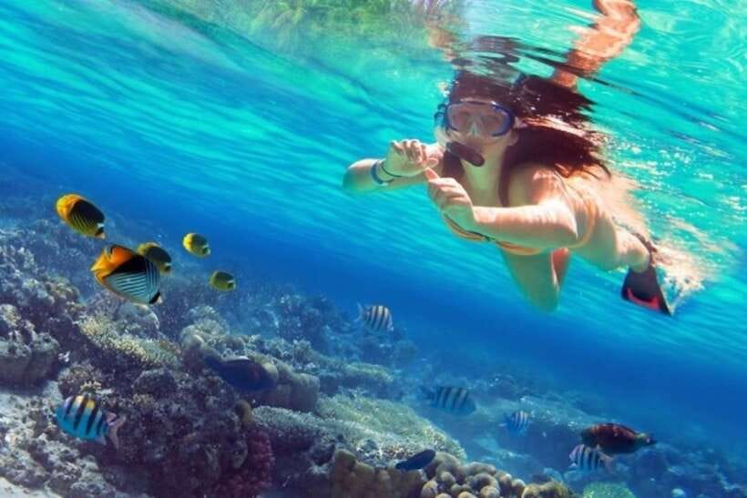 Coron: Coastal Cliffs, Beach & Malcapuya Island Hopping Tour - Snorkeling at Malcapuya, what you’ll actually be looking for