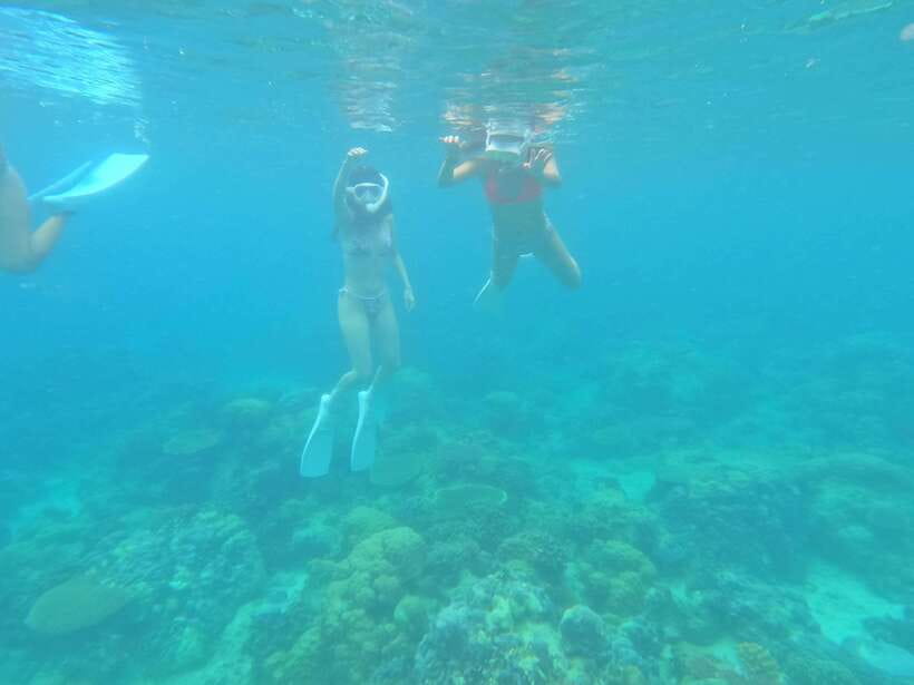 Coron: Dugong Watching with Sea Turtle and Coral Garden tour - Key highlights worth knowing