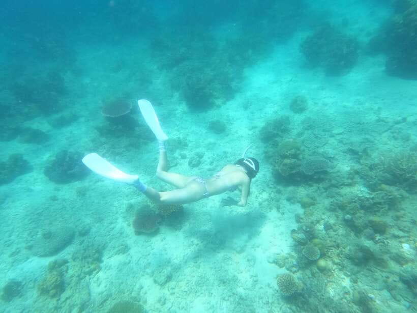 Coron: Dugong Watching with Sea Turtle and Coral Garden tour - Dugongs in Coron, and why the rules actually matter