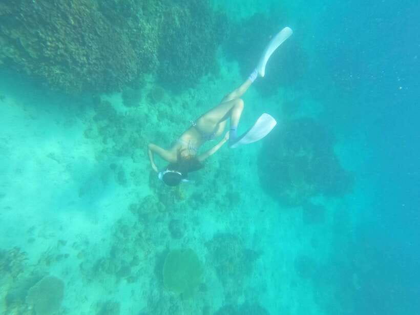 Coron: Dugong Watching with Sea Turtle and Coral Garden tour - Dugong snorkeling: controlled swim time and what to aim for
