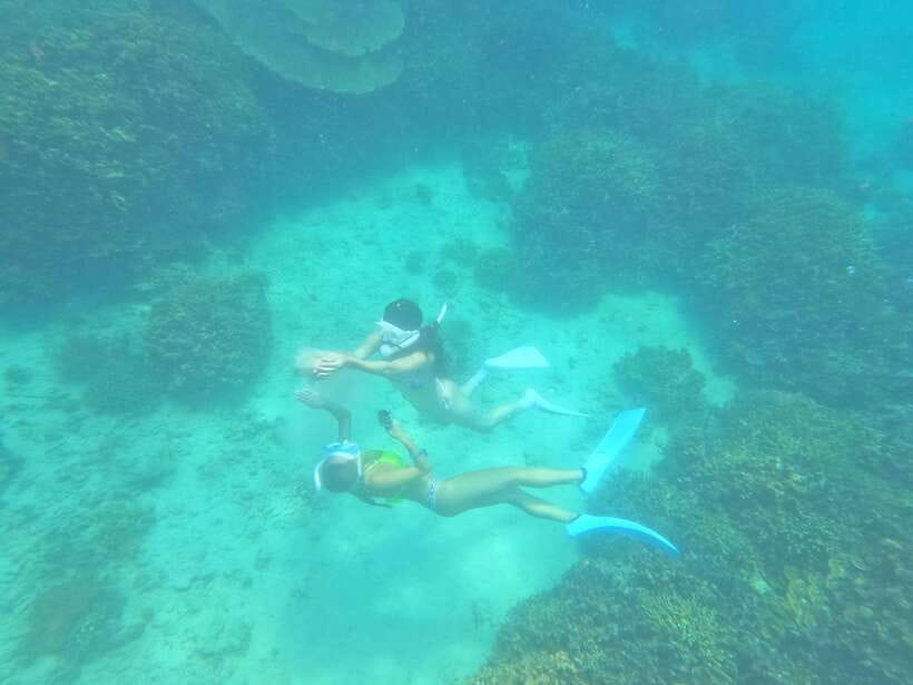 Coron: Dugong Watching with Sea Turtle and Coral Garden tour - Boat ride realities: comfort, crowding, and seasickness prep