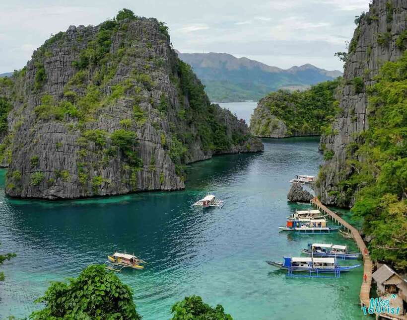 Coron Island Escapade: A Tropical Feast & Adventure - Key highlights you’ll care about