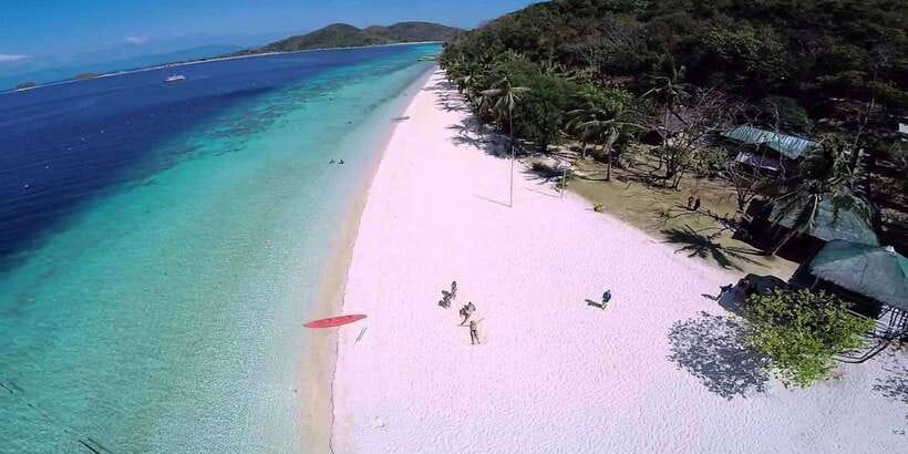 Coron Island Escapade: A Tropical Feast & Adventure - Lunch under coconut palms: buffet style, water included, and watch the protein