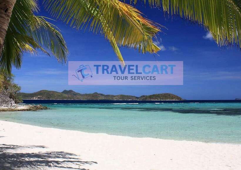 Coron Island Escapade Boat Tour with Lunch - Key highlights you will actually care about