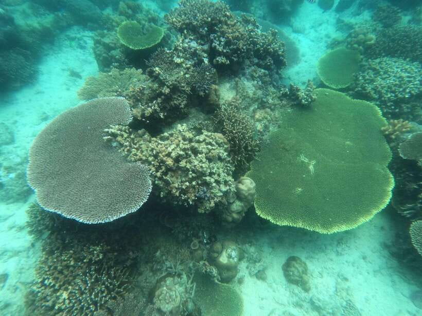 CORON:ISLAND TOUR A Lakes and Snorkeling with Corals - Price and value: what $30 really covers