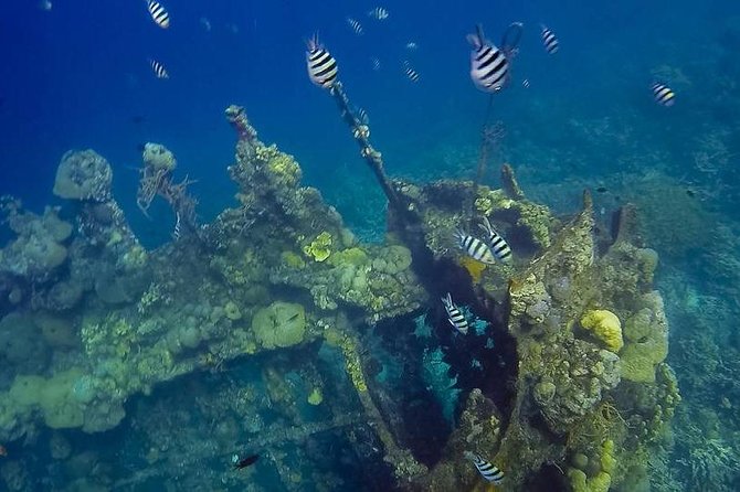 Coron Island Tour B (Private) - Key highlights you will feel right away
