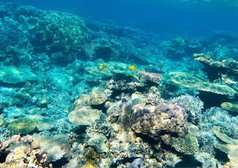 Coron: Island Tour B - Barracuda Lake: the fresh-and-saltwater swim stop you’ll remember