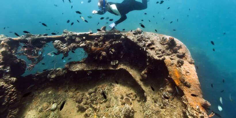 Coron Private Tour D: Reef and Wrecks - East Tangat wreck: 1944 details, shallow options, and current awareness