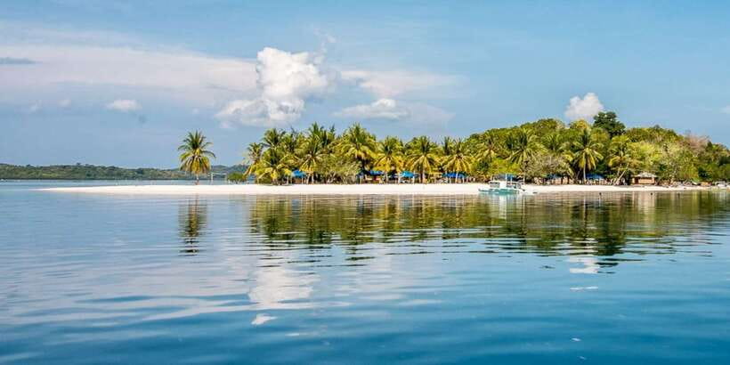 Coron Private Tour D: Reef and Wrecks - Should you book Coron Private Tour D: Reef and Wrecks?