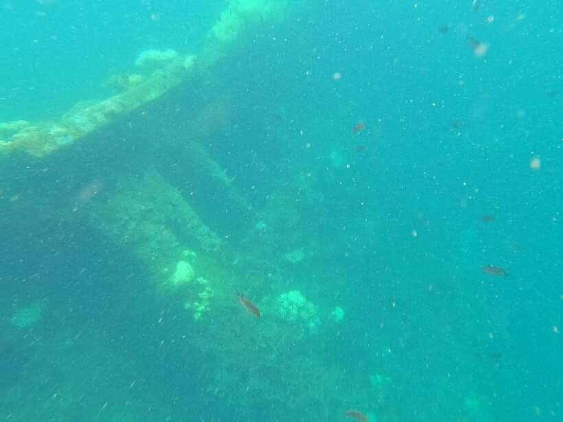 CORON:REEF AND WRECK - 2 JAPANESE WRECK AND PASS ISLAND TOUR - Lusong Coral Garden: the current makes it easier, and sometimes intense