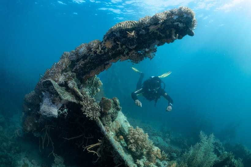 Coron Reef and Wrecks Tour (Private Tour) - What to bring, what to skip, and how to be comfortable