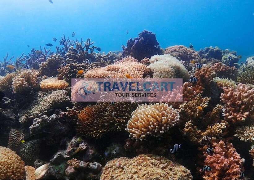 Coron Reef & Wrecks Tour - Coron in One Day: Pass Island Beach Plus WWII Wreck Snorkeling