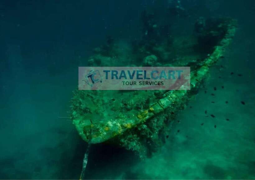 Coron Reef & Wrecks Tour - Stop 1, Pass Island: White Sand Break and Coral Water Time